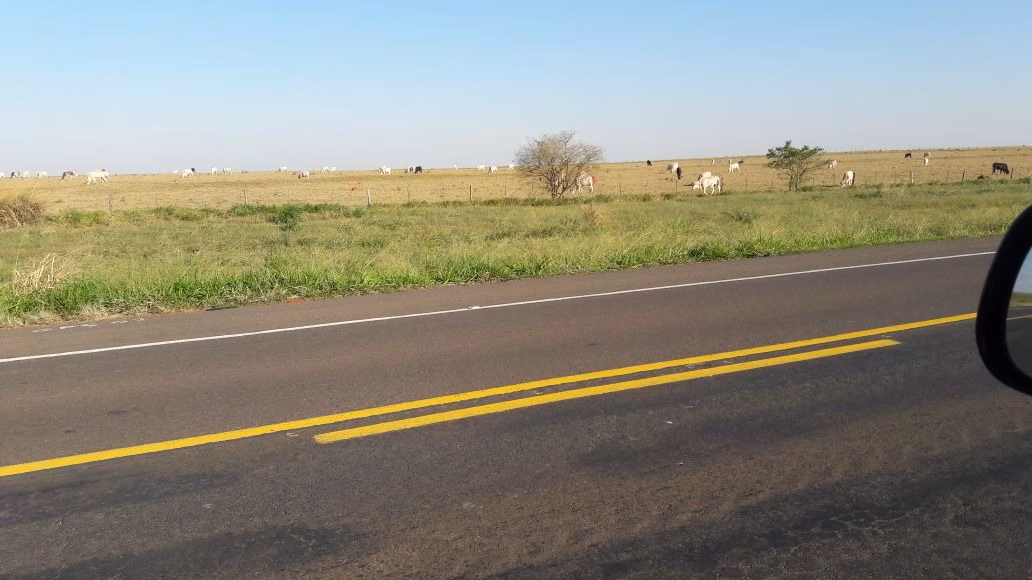 Fazenda de 1.089 ha em Presidente Prudente, SP
