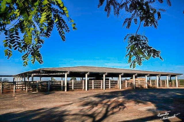 Fazenda de 1.089 ha em Presidente Prudente, SP