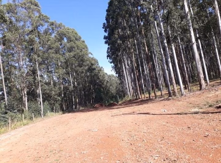 Farm of 1.160 acres in Tatuí, SP, Brazil