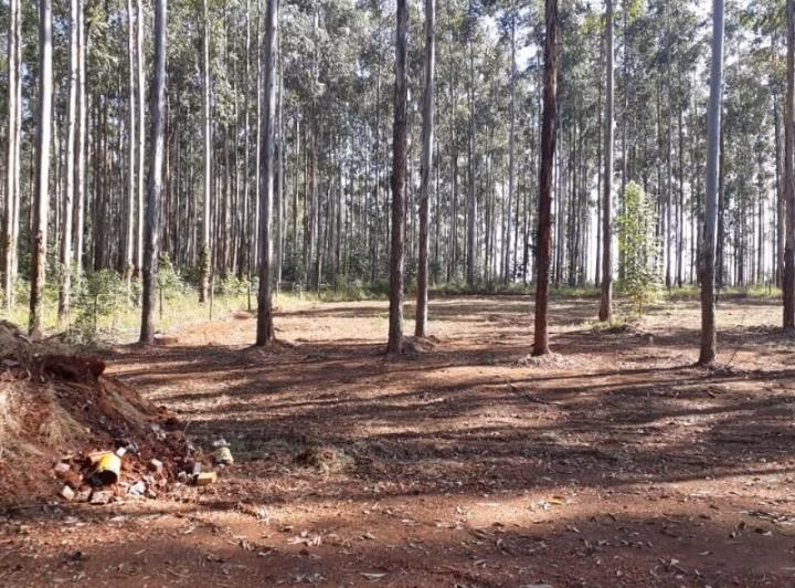 Farm of 1.160 acres in Tatuí, SP, Brazil