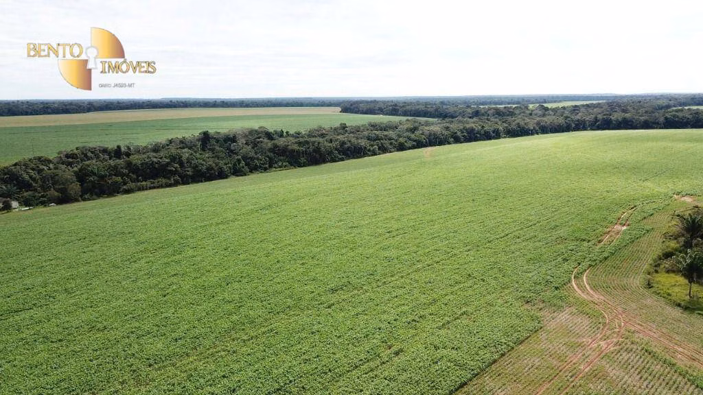 Fazenda de 3.500 ha em Porto dos Gaúchos, MT