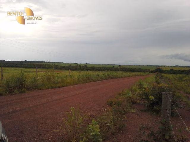 Fazenda de 4.080 ha em Planalto da Serra, MT