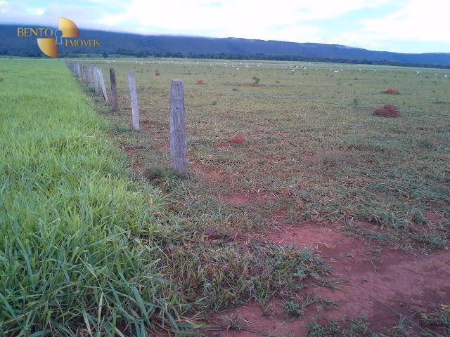 Fazenda de 4.080 ha em Planalto da Serra, MT