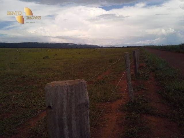 Fazenda de 4.080 ha em Planalto da Serra, MT