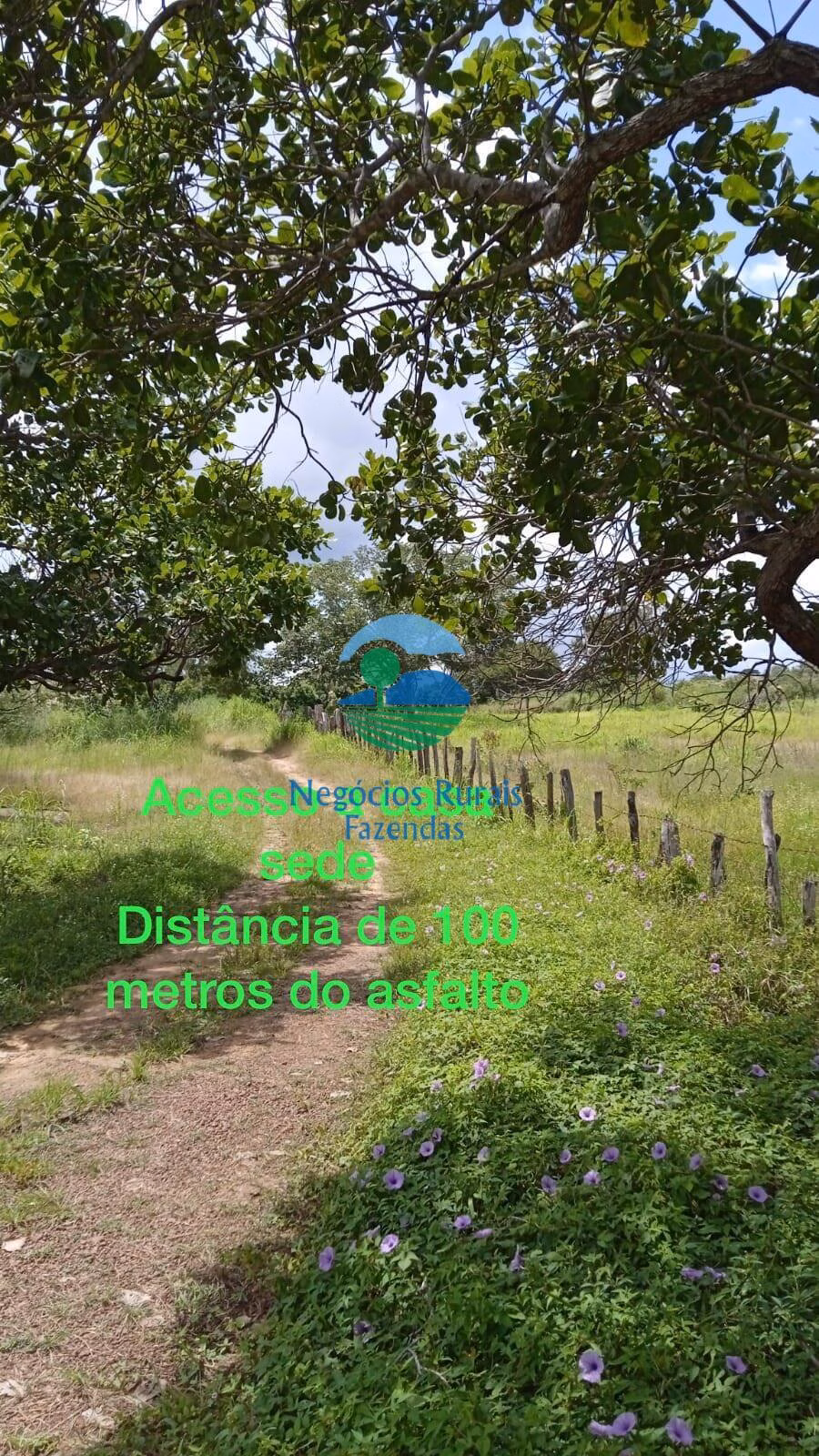 Sítio de 70 ha em Floriano, PI