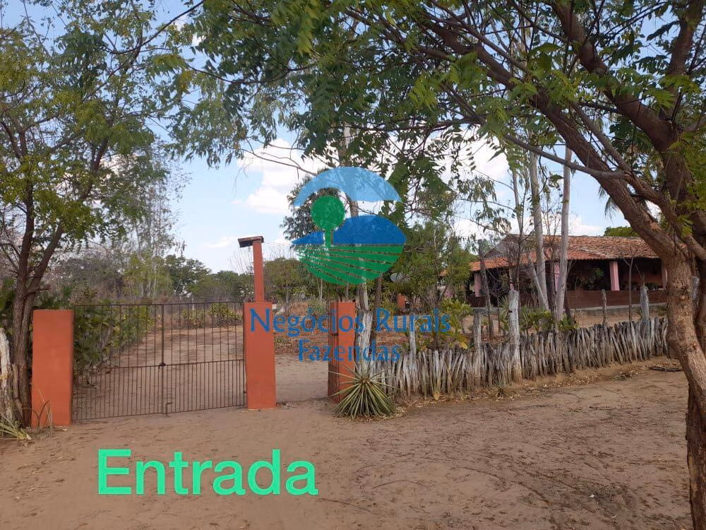 Sítio de 70 ha em Floriano, PI