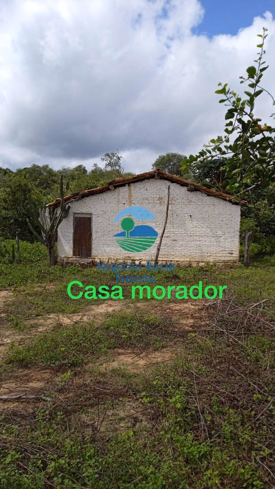 Sítio de 70 ha em Floriano, PI