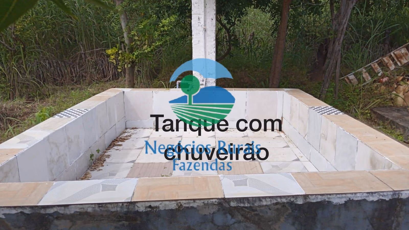 Sítio de 70 ha em Floriano, PI