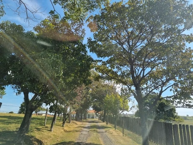 Small farm of 76 acres in Itapetininga, SP, Brazil