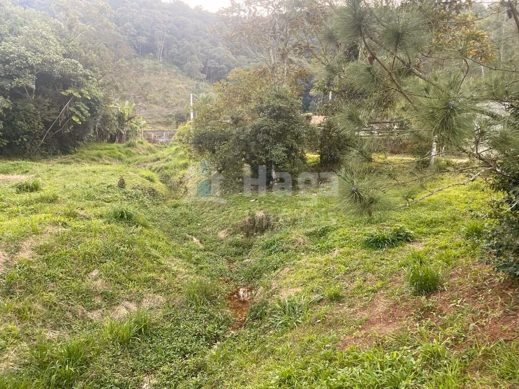 Terreno de 3.500 m² em Nova Trento, SC