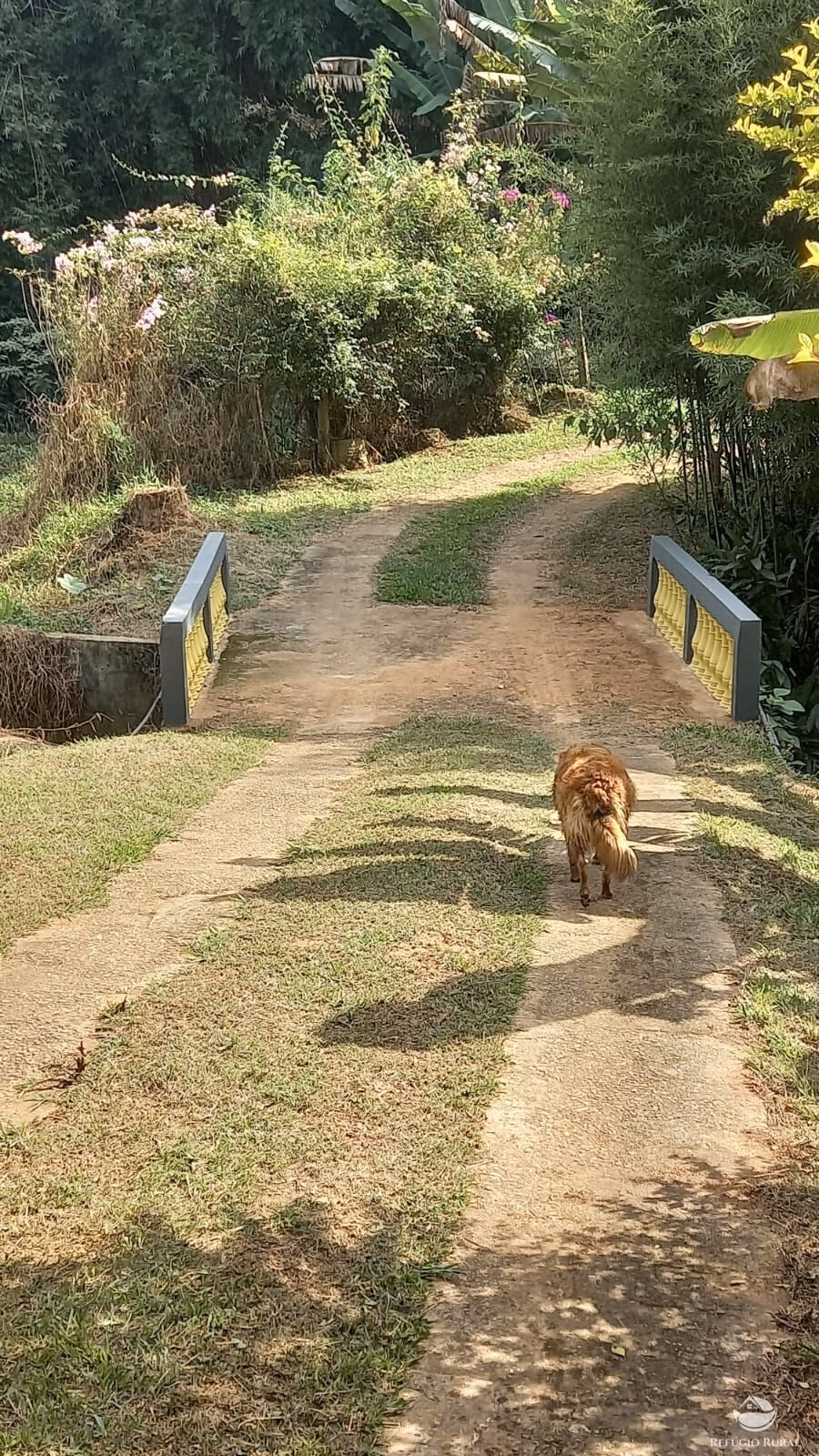 Country home of 5 acres in São José dos Campos, SP, Brazil