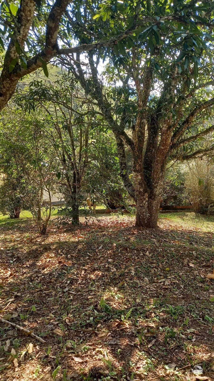 Country home of 5 acres in São José dos Campos, SP, Brazil
