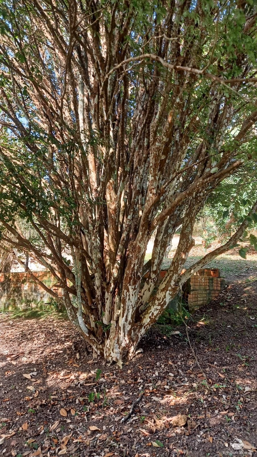 Country home of 5 acres in São José dos Campos, SP, Brazil