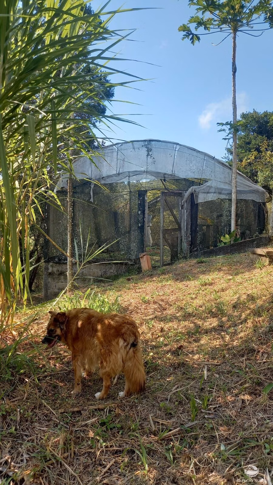 Country home of 5 acres in São José dos Campos, SP, Brazil