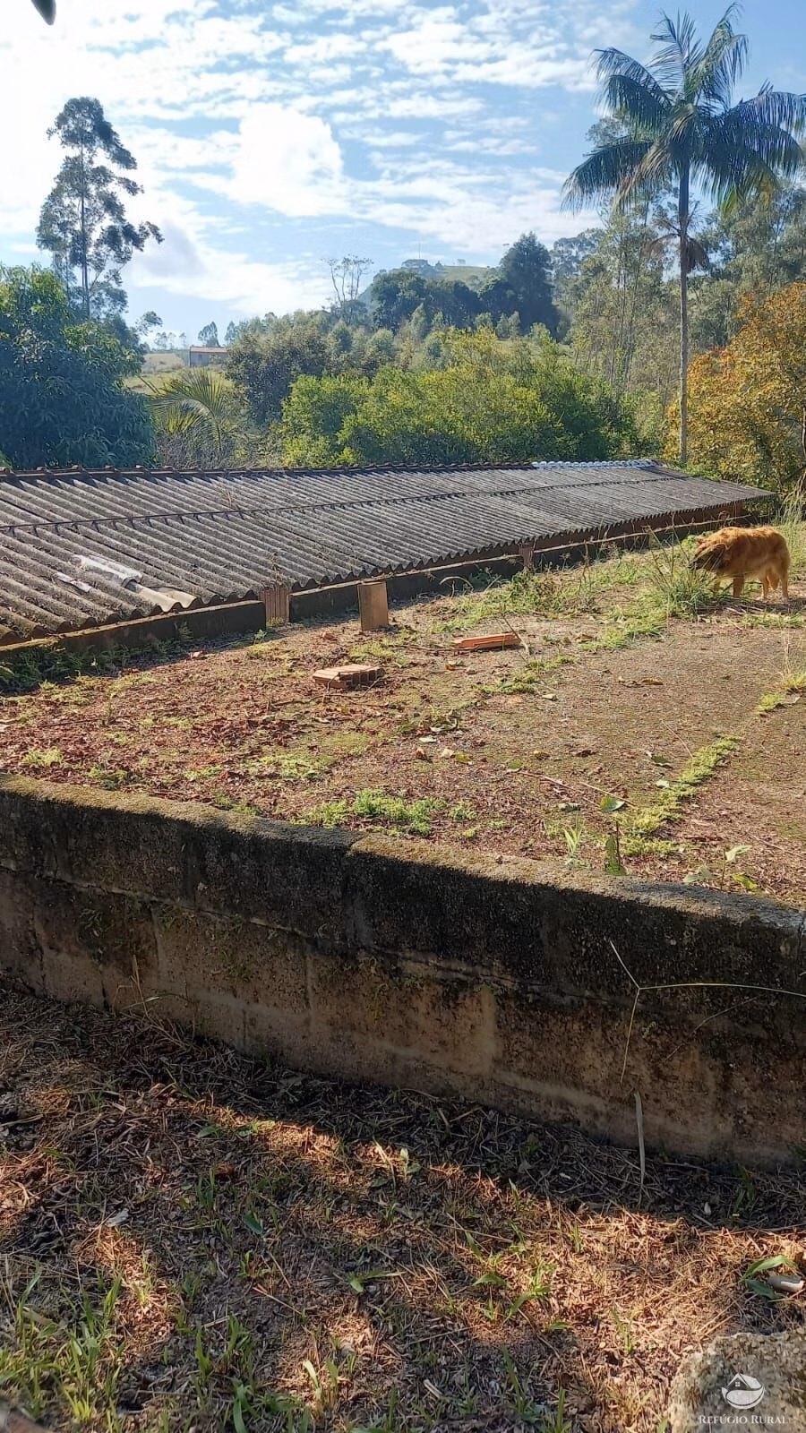 Country home of 5 acres in São José dos Campos, SP, Brazil