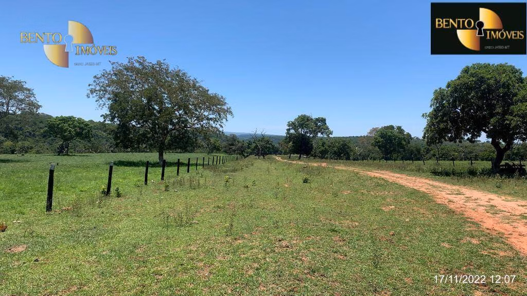 Fazenda de 313 ha em Chapada dos Guimarães, MT