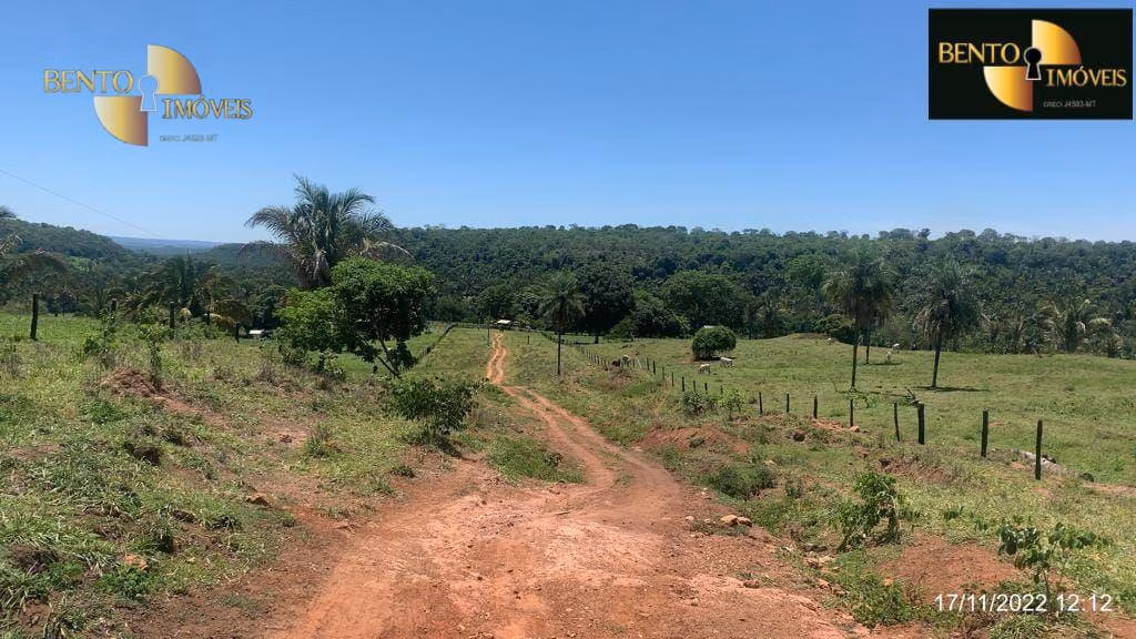 Fazenda de 313 ha em Chapada dos Guimarães, MT