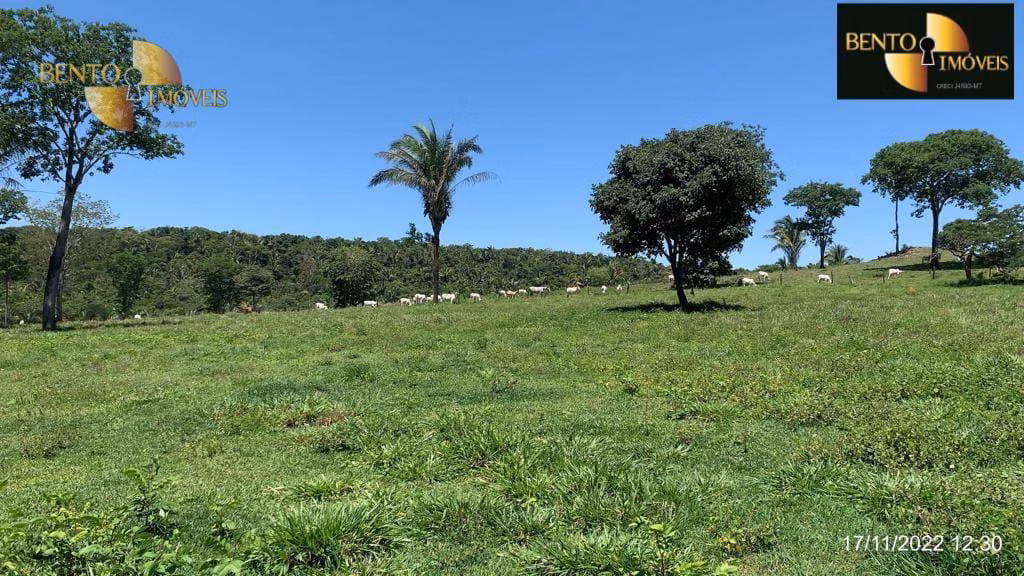 Fazenda de 313 ha em Chapada dos Guimarães, MT