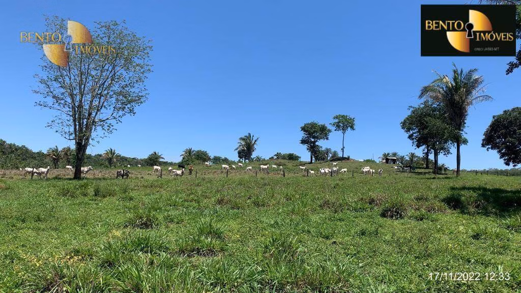 Fazenda de 313 ha em Chapada dos Guimarães, MT