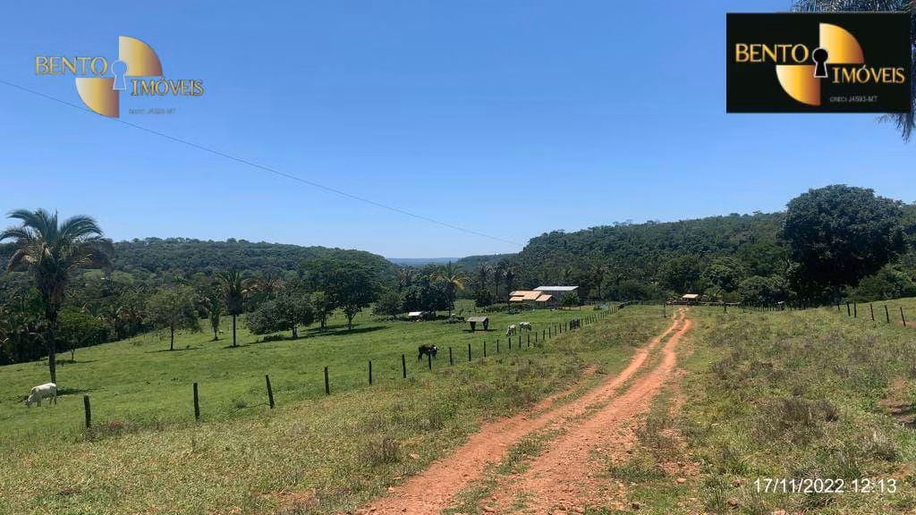 Fazenda de 313 ha em Chapada dos Guimarães, MT