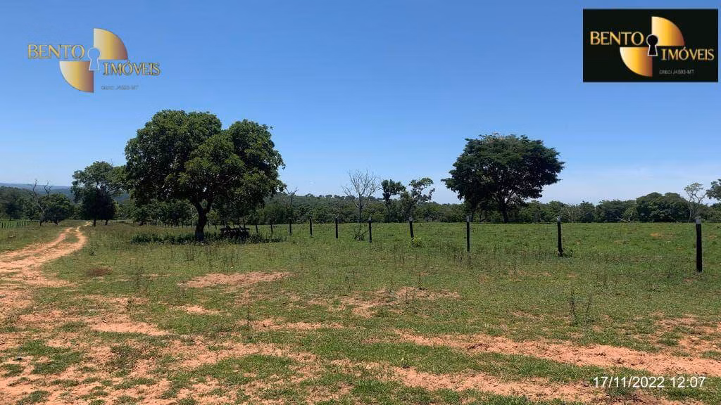 Fazenda de 313 ha em Chapada dos Guimarães, MT
