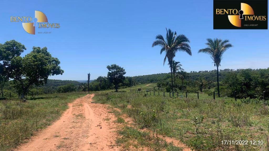 Fazenda de 313 ha em Chapada dos Guimarães, MT