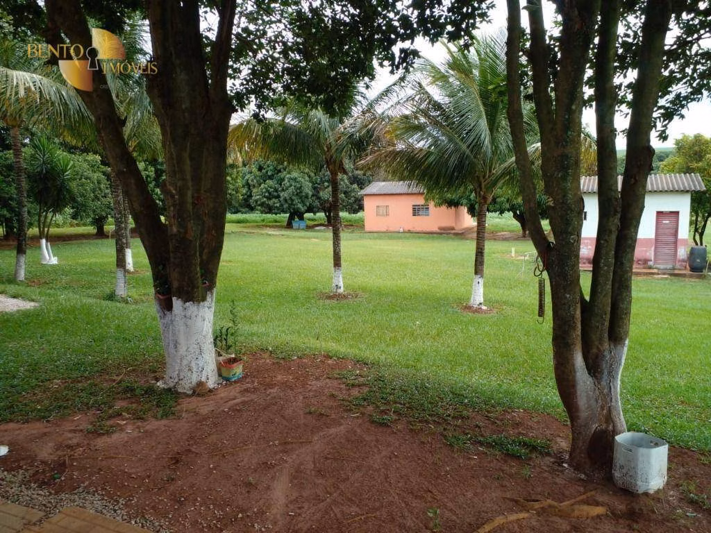 Sítio de 33 ha em Campo Verde, MT