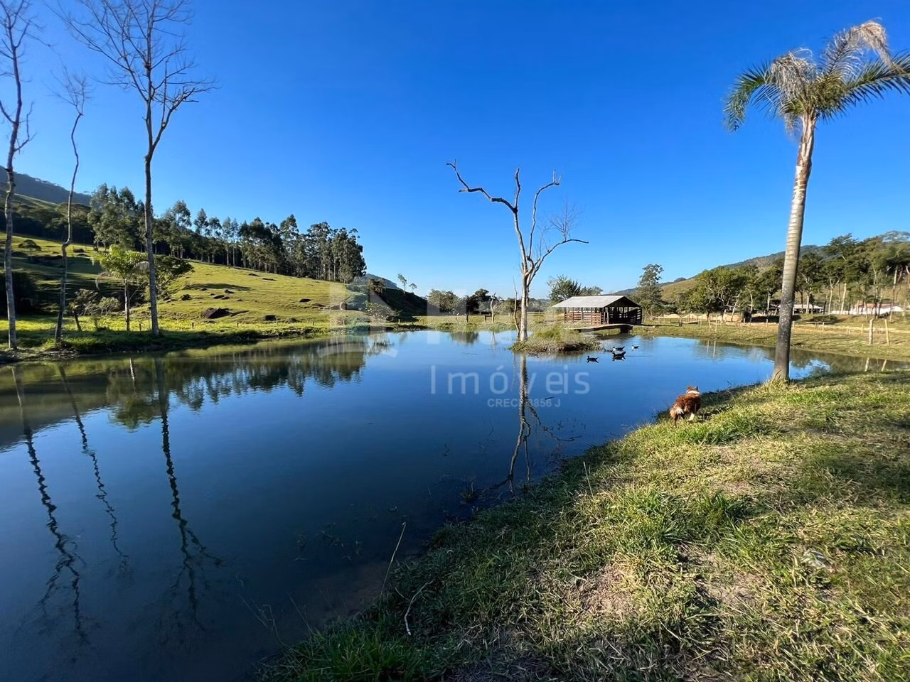 Fazenda de 15 ha em Tijucas, SC