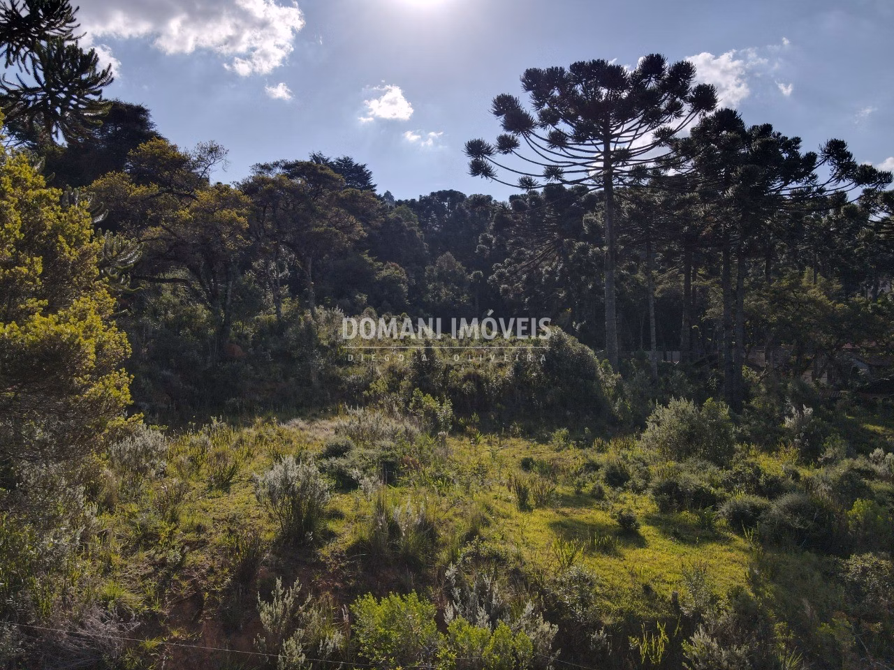 Plot of 2 acres in Campos do Jordão, SP, Brazil