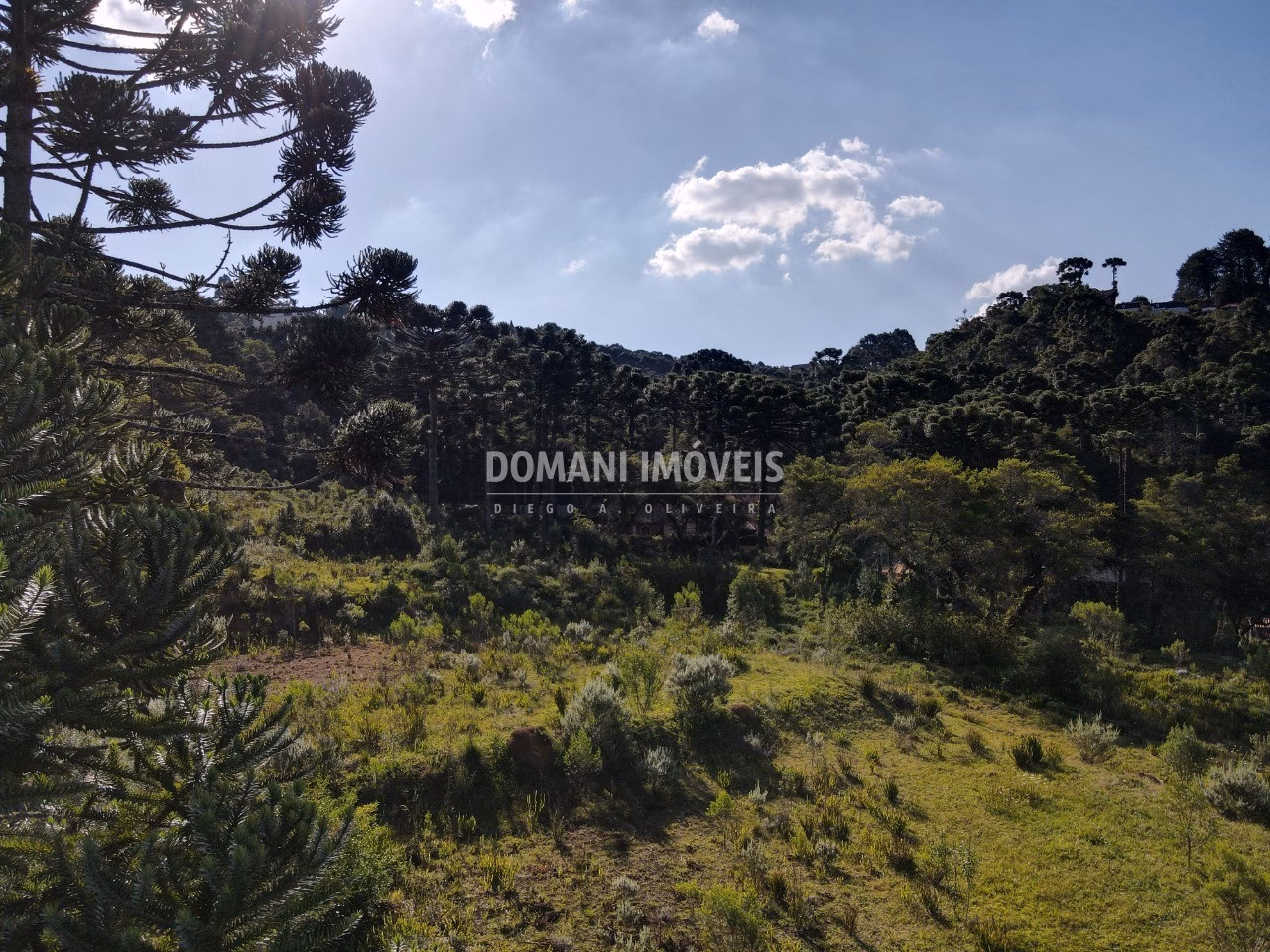Terreno de 6.080 m² em Campos do Jordão, SP