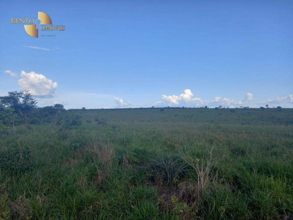 Farm of 12,355 acres in Paranatinga, MT, Brazil