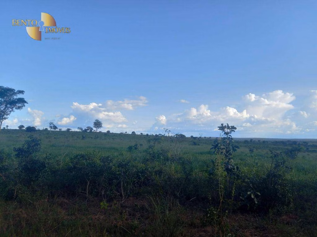 Farm of 12,355 acres in Paranatinga, MT, Brazil