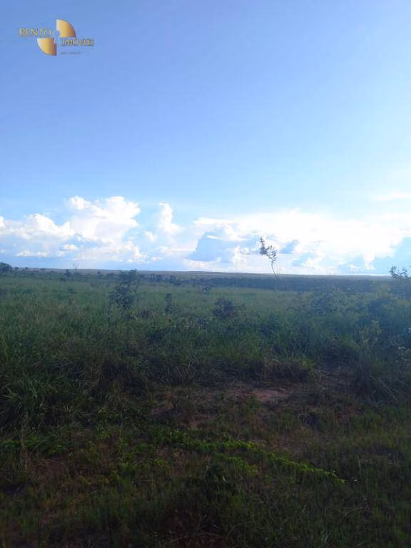 Farm of 12,355 acres in Paranatinga, MT, Brazil