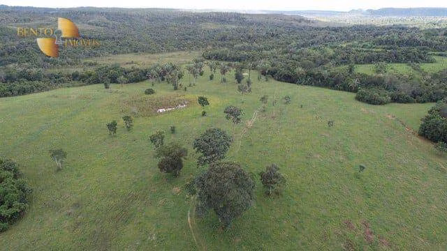 Fazenda de 470 ha em Dom Aquino, MT