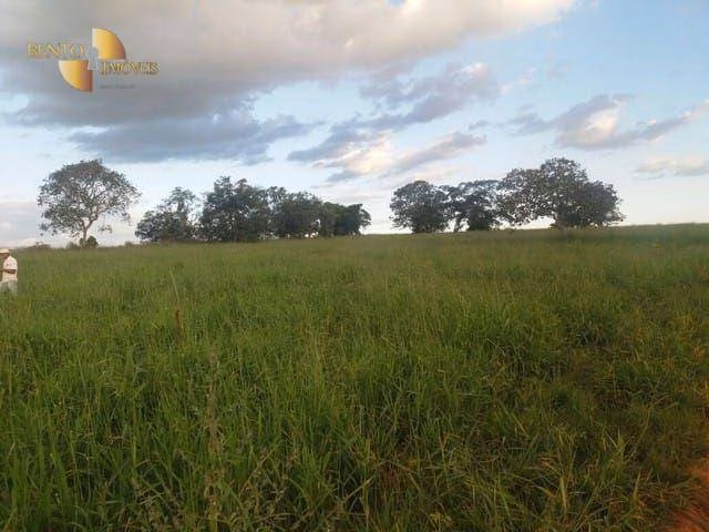 Fazenda de 470 ha em Dom Aquino, MT