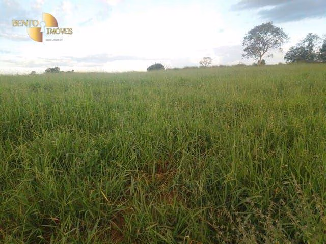 Fazenda de 470 ha em Dom Aquino, MT