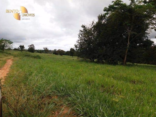 Fazenda de 470 ha em Dom Aquino, MT