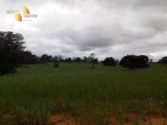 Fazenda de 470 ha em Dom Aquino, MT