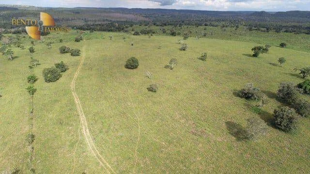 Fazenda de 470 ha em Dom Aquino, MT
