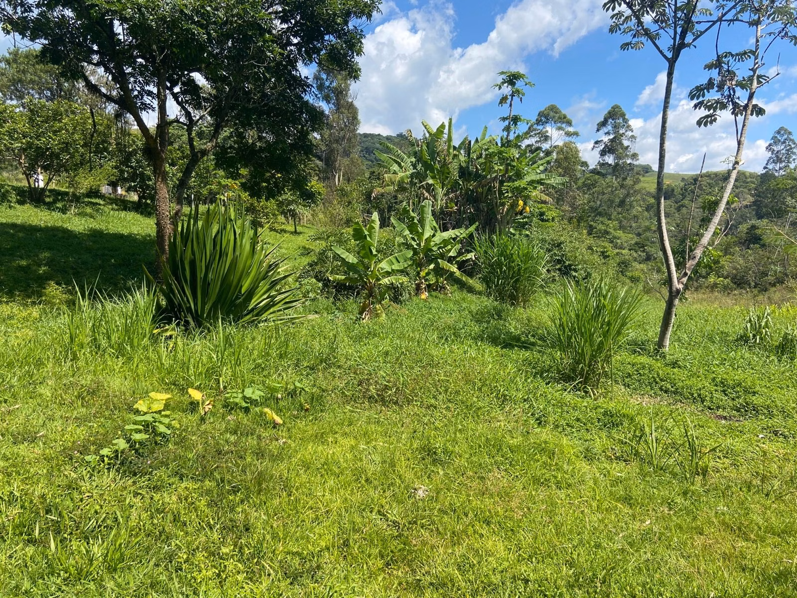 Chácara de 9.000 m² em Pindamonhangaba, SP