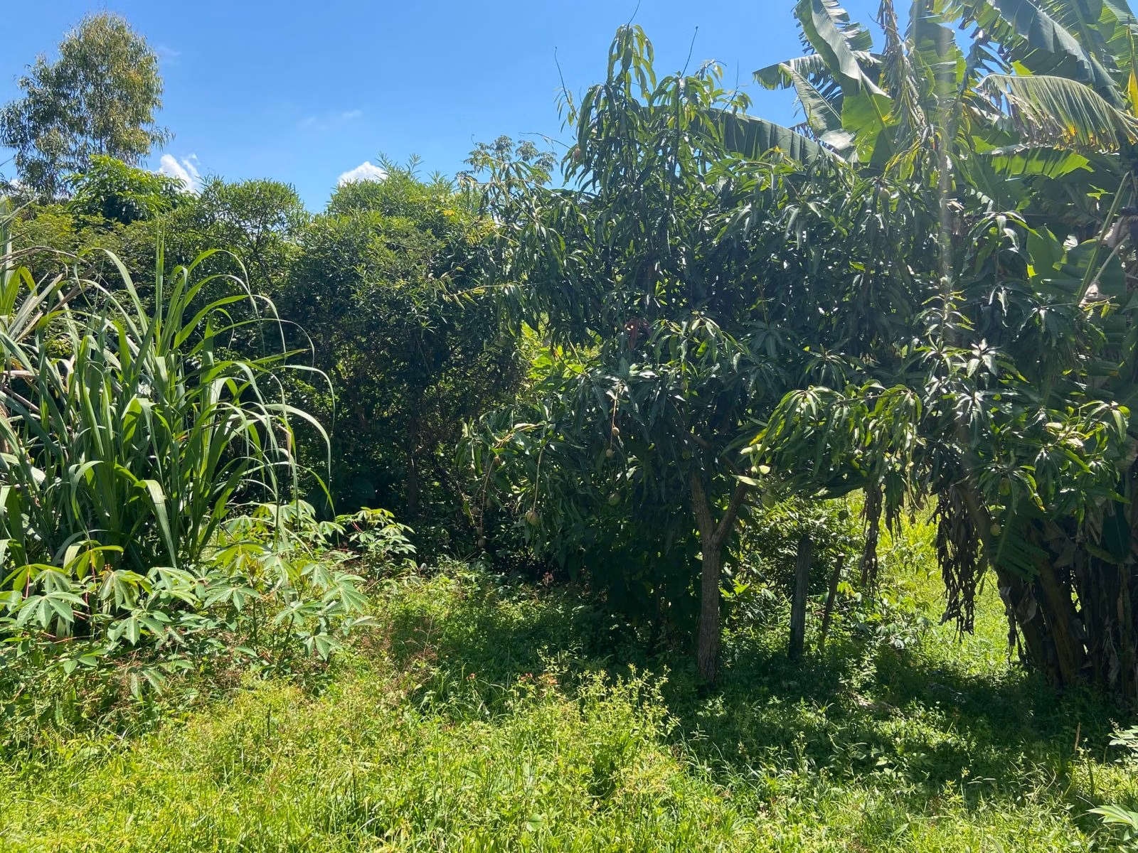 Chácara de 9.000 m² em Pindamonhangaba, SP