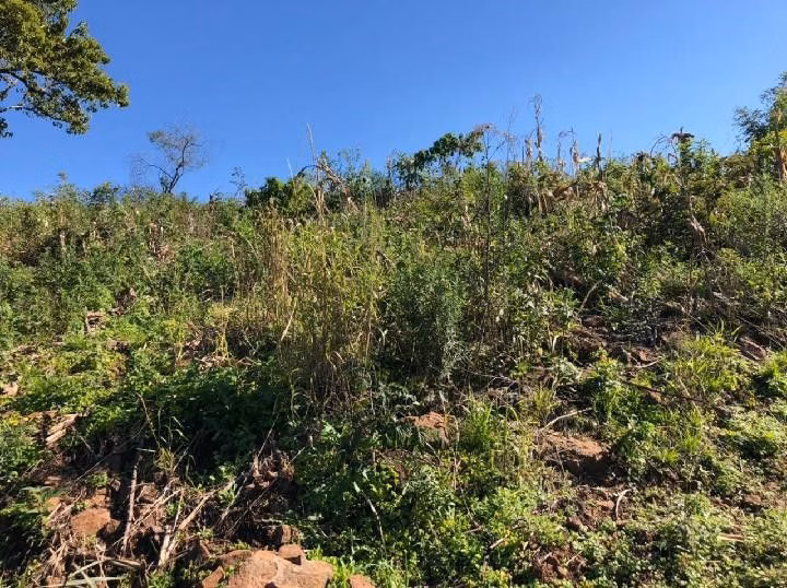 Chácara de 1 ha em Rolante, RS