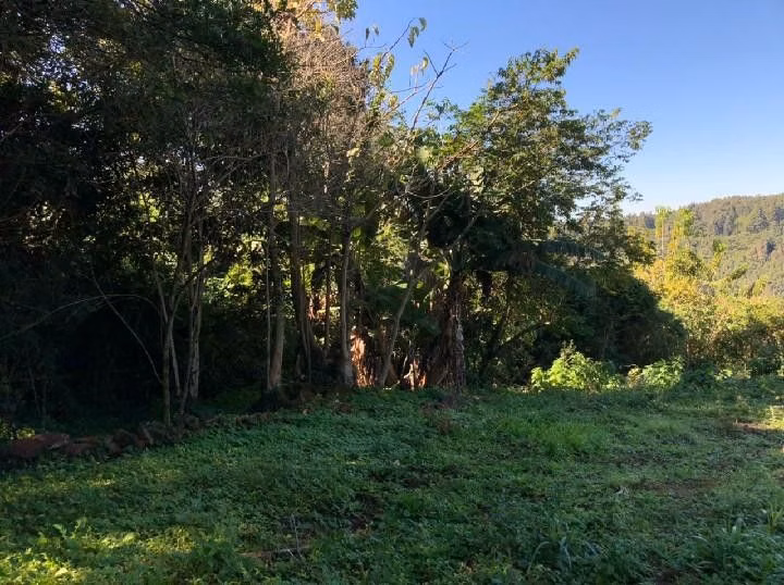 Chácara de 1 ha em Rolante, RS