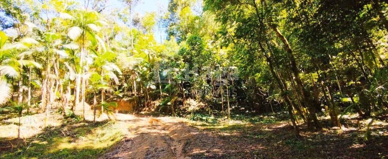 Country home of 6 acres in Nova Trento, SC, Brazil