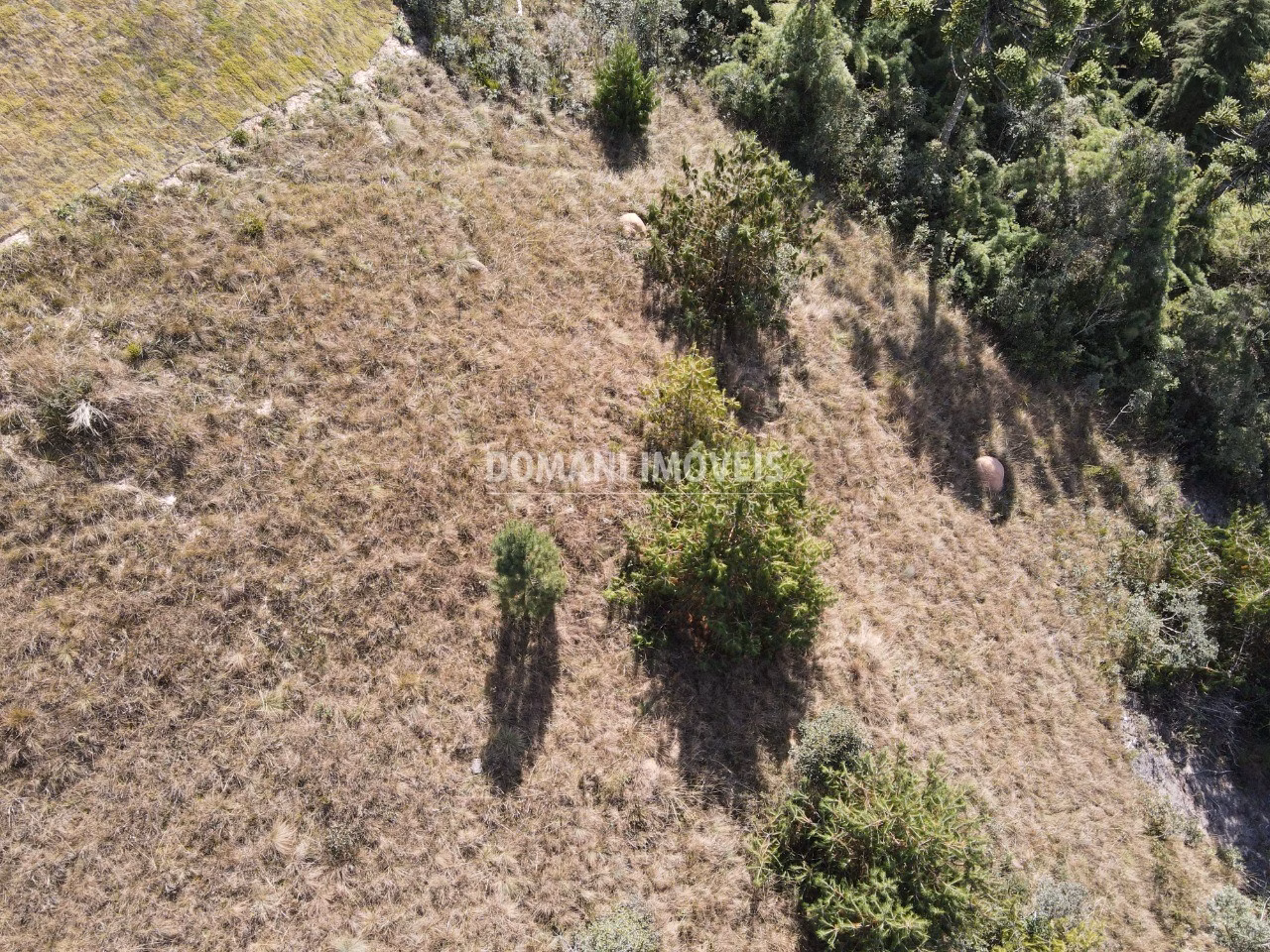 Plot of 1,110 m² in Campos do Jordão, SP, Brazil