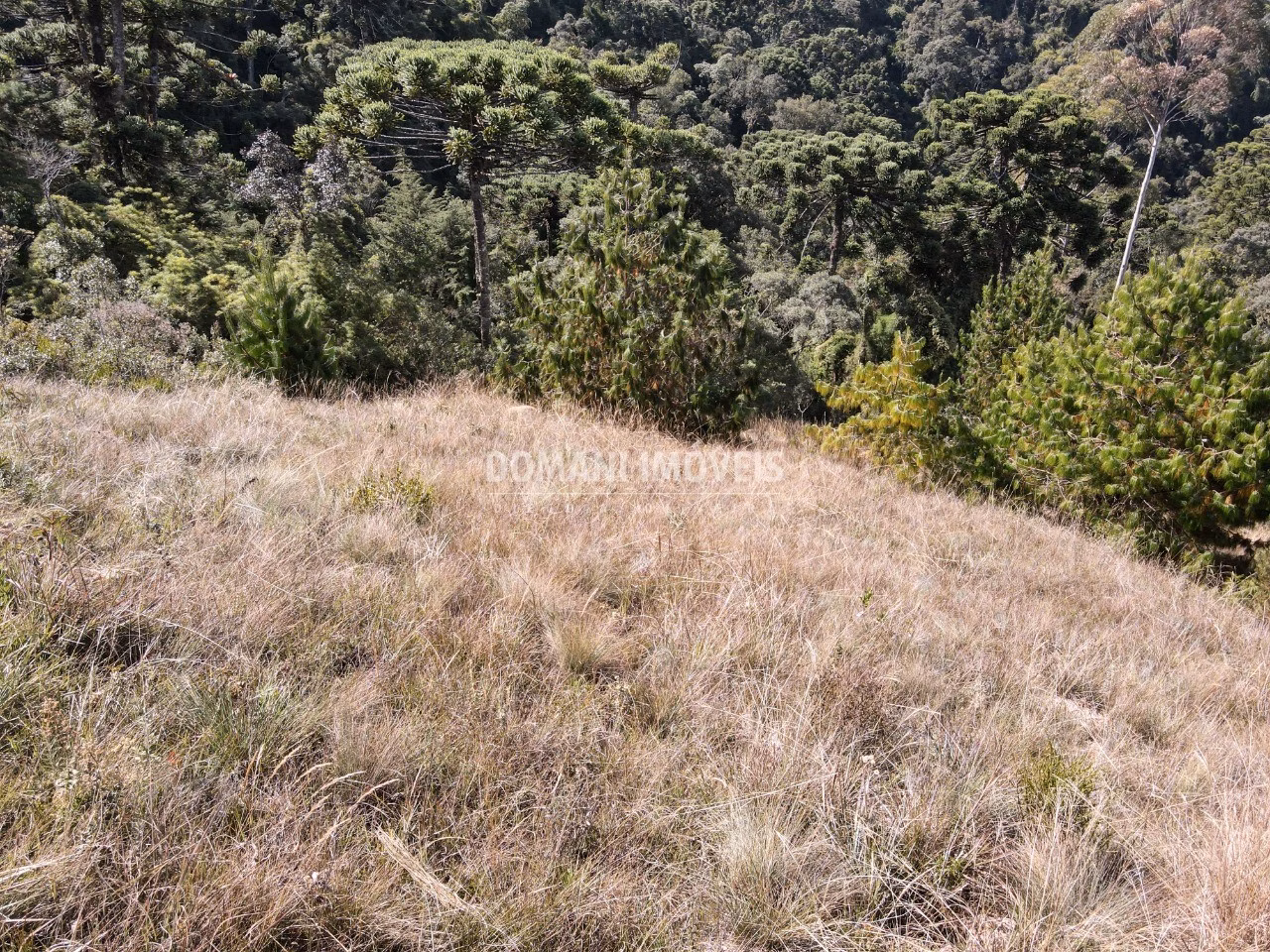 Plot of 1,110 m² in Campos do Jordão, SP, Brazil