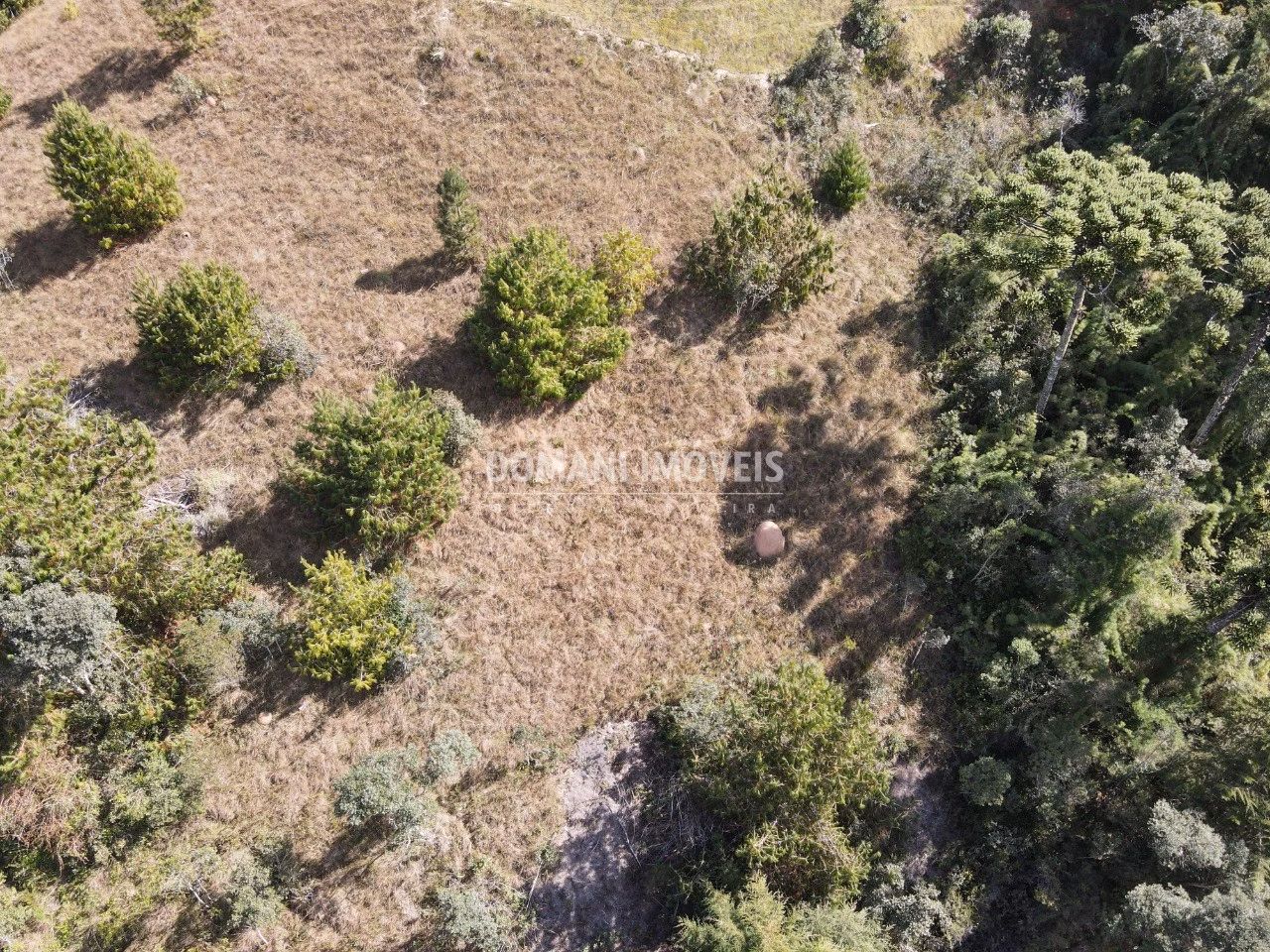 Plot of 1,110 m² in Campos do Jordão, SP, Brazil