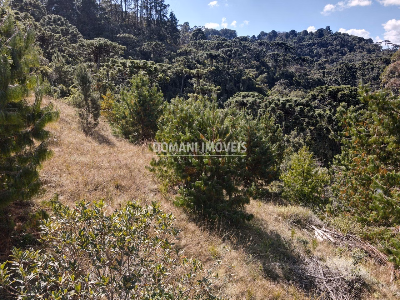 Plot of 1,110 m² in Campos do Jordão, SP, Brazil