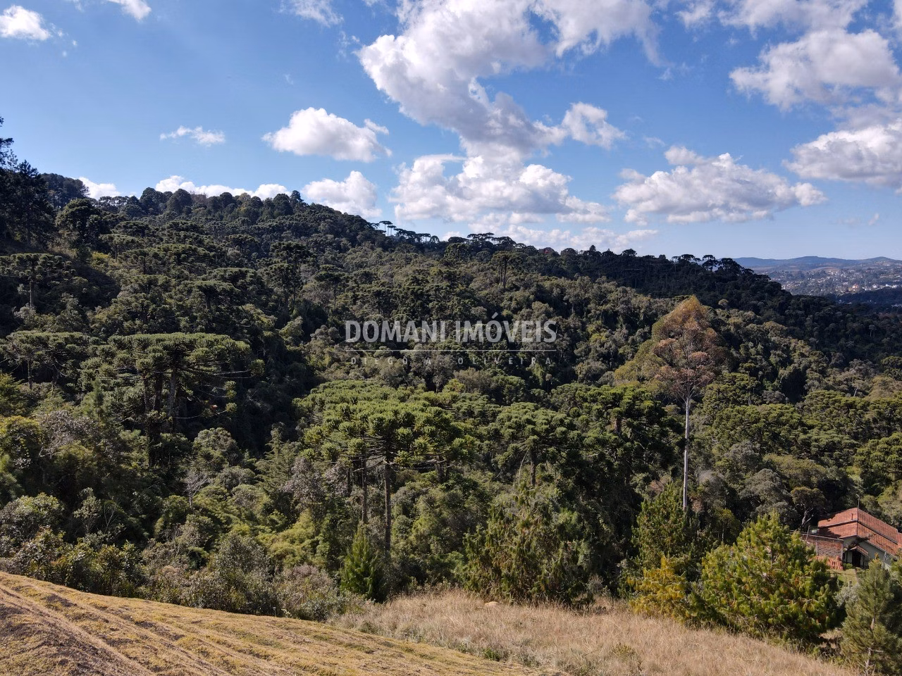 Plot of 1,110 m² in Campos do Jordão, SP, Brazil