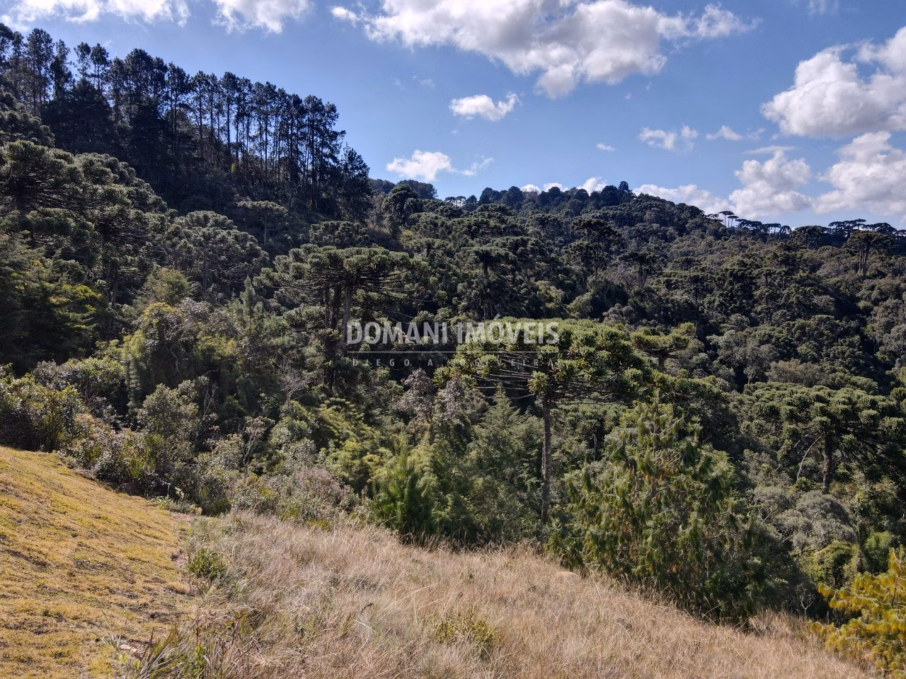 Plot of 1,110 m² in Campos do Jordão, SP, Brazil